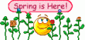 Comments, Graphics - Holidays and Events 